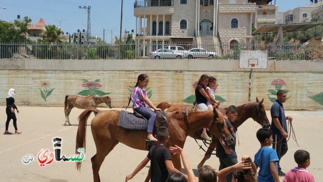 كفرقاسم - فيديو  : تعليم هواية ركوب الخيل في مدرسة جنة ابن رشد في اليوم الرابع لصيف الصادقة 